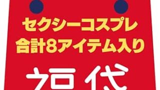 コスプレ 福袋 大きいサイズ セクシーランジェリー コスチューム スク水 メイド スクール水着 セーラー服 制服 …