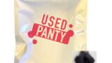 ランジェリー – 【使用済み 下着セット】激かわギャルの使用済みパンティ本物(着用済みパンティ 証明写真付き)-使用済み加工品