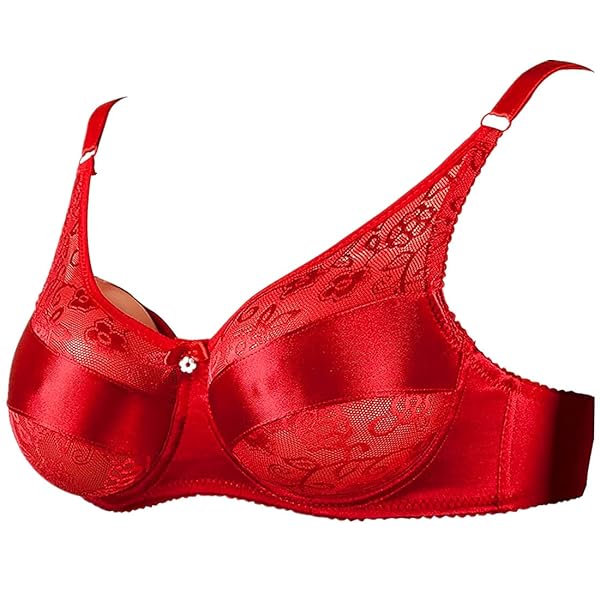 ランジェリー – シリコンバストと専用 ブラジャーのセット 女装 バストアップ用人工乳房 乳房切除 偽娘 偽胸 コスプレ