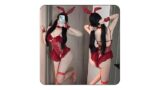 バニーガール レオタード セクシー コスプレ ホワイト シースルー うさぎ うさ耳 背中あき 過激 エッチ エロい…