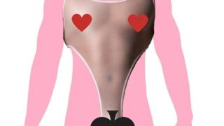 コスプレ – メンズ ハイレグ レオタード 光沢 透け シースルー メッシュ インナーシャツ ボディスーツ ボディストッキングｔ…