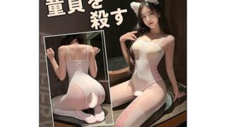 セクシー 小悪魔 デビル 小悪魔ランジェリー コスプレ スクール水着 ボディストッキング 全身網タイツ ボディスト…