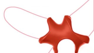 [wjxxwj] ペニスリング コックリング 高弾力 アダルトグッズ 男性用 アダルトグッズ 巻き込み防止拘束具 …