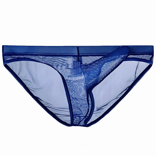 ランジェリー – [Heureux La Joie] 透け感ある セクシー 下着 メンズ シースルー マイクロ メッシュ パンツ 男…