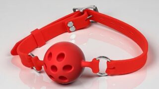 Orirya ボールギャグ sm 口枷 7穴付き 柔らかいシリコン製 口栓 口ギャグボール猿ぐつわ SMグッズ 拘…