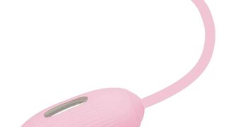 プリティラブ エレクトリックショックパルス ローター リモコン SM グッズ 27240