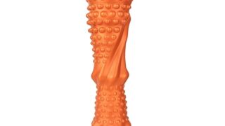 ディルド – TaRiss’s アナルプラグ 吸盤付き シリコン S 3.8cmx16.5cm