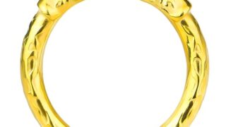 Yemaxコックリング ペニスリング 金属 304ステンレス製虎頭型の開口設計cock ring アダルトグッズ …