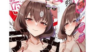 ホール – デカ女の一穴入根W子宮【エーワン】