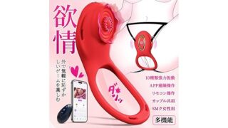 【カップル共用！遠隔操作 バイブ ローター】装着型 ディルド女性用 大人のおもちゃ クリトリス 潮吹き sm グッ…