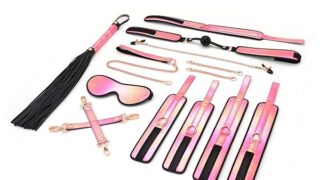 sm – Liebe Seele リーベゼーレ コスプレ SMグッズ 小道具 拘束具 8点セット ヴィヴィット ピンク キラ…