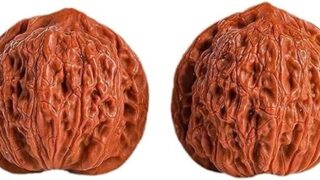 ディルド – コレクションや遊びに最適なクルミ材。深い溝が美しく揃い、扱いやすく遊びやすい。手のひらをマッサージすることで血行を…