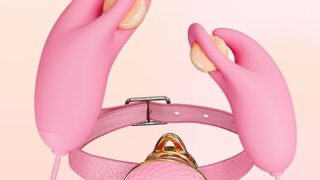 バイブ 乳首ローター留め具 10種類の振動パターン 首輪をつける 階層感があり 軽量無線 USB充電式 引き締まっ…