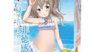 オナホ オナホール おなほーる おなほ キツ系 人気 非貫通 435g 二重構造 肉厚 男性用 柔らかい アダルトグッズ