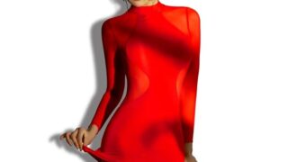 Black Omen (ブラックオーメン) ボディコン コスプレ シースルー ボディコンワンピース（6381-赤色…