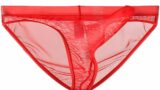 ランジェリー – [Heureux La Joie] 透け感ある セクシー 下着 メンズ シースルー マイクロ メッシュ パンツ 男…