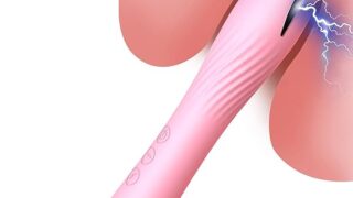 複数の振動モード付き電撃バイブレーター、クリトリスGスポット刺激器、前立腺刺激器、男性用プラグ、ディルド、女性用カ…