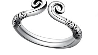 ペニスリング 男性用コックリング メンズ ステンレスぺにすリング縁起唐草浮き彫りあだるとぐっず 男性人気 ペニスリ…