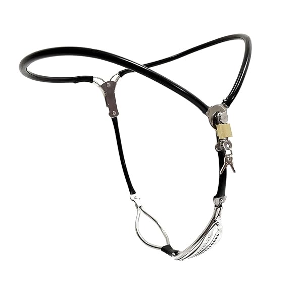 Alip貞操帯 女性用 sm 鍵付き 貞操ベルト T型 目立たない貞操体 ステンレス+シリコン SM 拘束具 アダ…