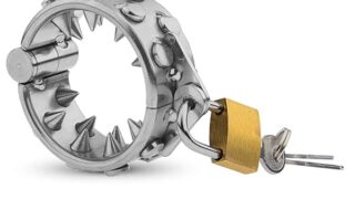 ペニスリング陰嚢リングスパイク付きステンレス鋼睾丸リングペニス拷問 CBT ペニス刺激大人のおもちゃボンデージ貞操…