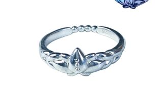 [CHIASA] ヒンメル フリーレン 指輪 リング 葬送のフリーレン コスプレ 小物 シルバー925 キャラクタ…