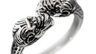 CHILL FACTOR コックリング アンフィスバエナ 720 メンズ 金属 ステンレス グランスリング ペニス…