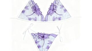 [PudogyPaws] ピンクレースシースルーランジェリーセット ノンワイヤー三角ブラ & T バック 紐調節誘…