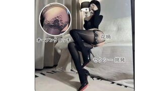 [SEXYTINE] ストッキング セクシーランジェリー コスプレ 滑らかな ソフト 弾性ストッキング レディース…