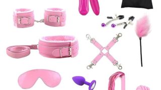sm – SMグッズ SMセット SMプレイ 13点セット 拘束具 束縛具 足枷 手枷 アイマスク 首輪 口枷 むち 乳首ク…