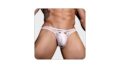 ランジェリー – [Aokeea] メンズ セクシー パンツ ショーツ 下着 Tバック レース 過激 穴あき 竿出し 男性 薄い 透…