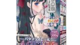 ホール – RIDE(ライド) バタフライレールAGEHAハード(H0218)