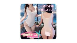 [TranqLN] ハイレグ水着 セクシーコスプレ アダルト スク水 極薄 超セクシー 水着 JK スクール レオ…