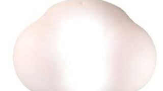バイブ – 極上生腰